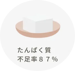 たんぱく質 不足率８７％ 