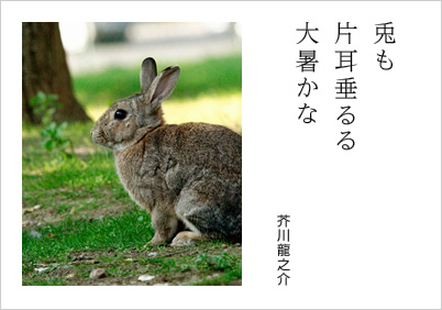 兎も 方耳垂るる 大暑かな 芥川龍之介