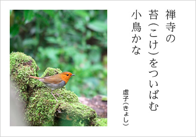 禅寺の苔（こけ）をついばむ小鳥かな 虚子（きょし）