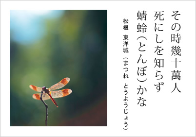 露の玉 ころがり土龍（もぐら） ひっこんだり 川端茅舎（ぼうしゃ）