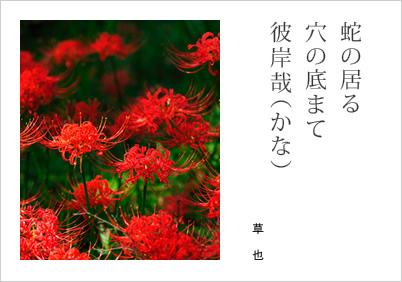 蛇の居る 穴の底まて 彼岸哉（かな） 草也