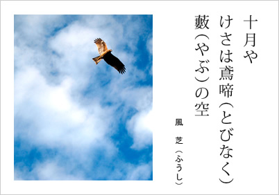 十月や けさは鳶啼（とびなく） 藪（やぶ）の空 風芝（ふうし）