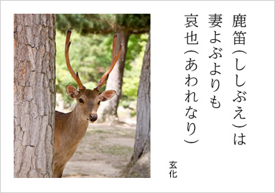 鹿笛（ししぶえ）は 妻よぶよりも 哀也（あわれなり） 玄化