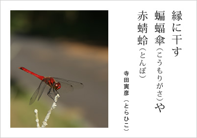 縁に干す 蝙蝠傘（こうもりがさ）や 赤蜻蛉（とんぼ） 寺田寅彦（とらひこ）