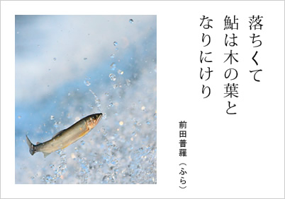 縁に干す 蝙蝠傘（こうもりがさ）や 赤蜻蛉（とんぼ） 寺田寅彦（とらひこ）