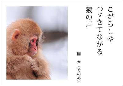 こがらしや つゞきてながる 猿の声 園女（そのめ）