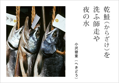 乾鮭（からざけ）を 洗ふ師走や 夜の水 小沢碧童（へきどう）