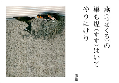 燕（つばくろ）の 巣も煤（すす）はいて やりにけり 雨篁