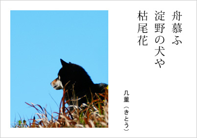 舟慕ふ 淀野の犬や 枯尾花 几董（きとう）