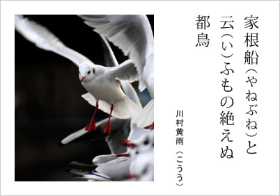 家根船（やねぶね）と 云（い）ふもの絶えぬ 都鳥 川村黄雨（こうう）