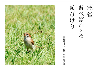 寒雀 遊べばこゝろ 遊びけり 宮部寸七翁（すなお）