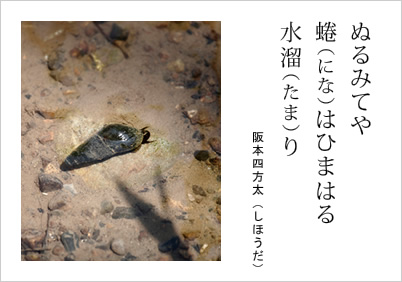 ぬるみてや 蜷（にな）はひまはる 水溜（たま）り 阪本四方太（しほうだ）