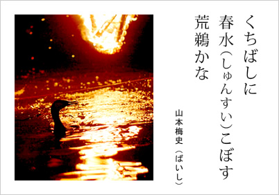 くちばしに 春水（しゅんすい）こぼす 荒鵜かな 山本梅史（ばいし）
