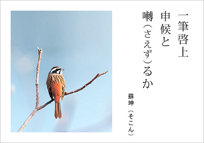 一筆啓上 申候と 囀（さえず）るか 蘇坤（そこん）