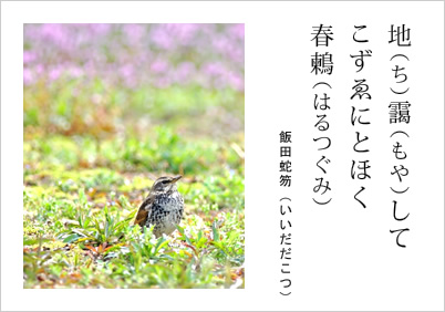 地靄して こずゑにとほく 春鶫 飯田蛇笏