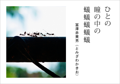 ひとの 瞳の中の 蟻蟻蟻蟻蟻 富澤赤黄男